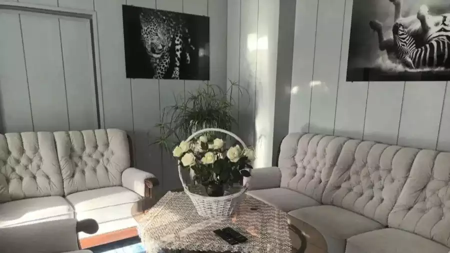 Letnie kolonia w krainie Pana Kleksa