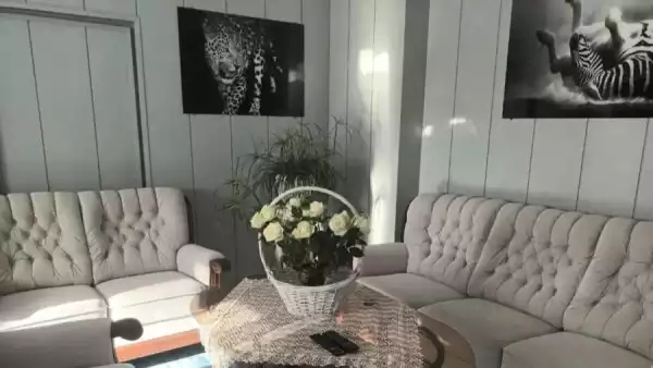 Letnie kolonia w krainie Pana Kleksa