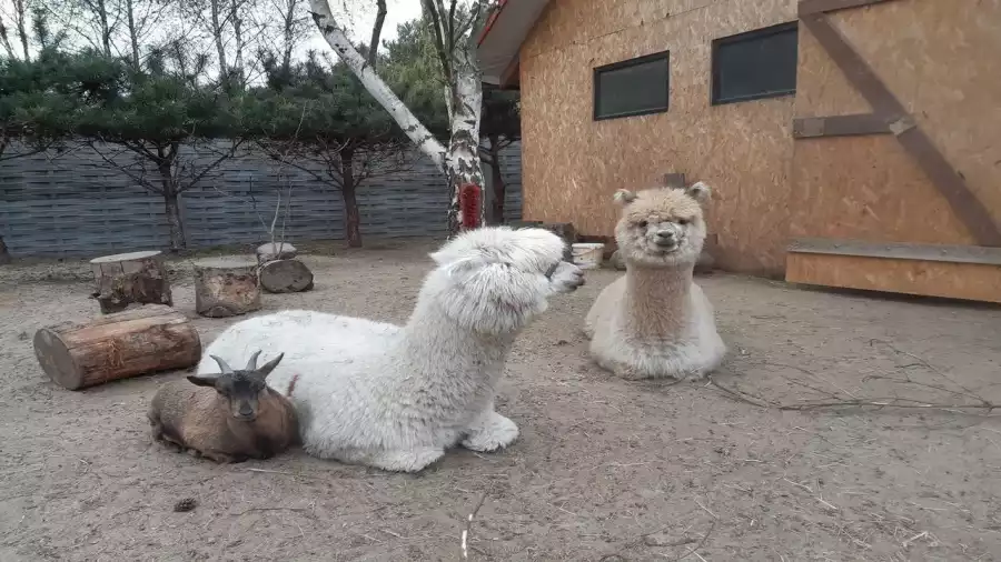 Termalna Przygoda - letni obóz młodzieżowy