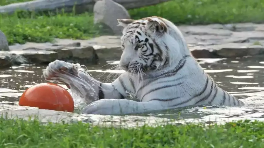 Termalna Przygoda - letni obóz młodzieżowy