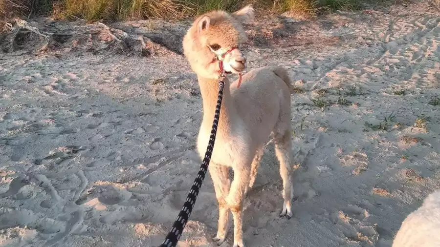 Termalna Przygoda - letni obóz młodzieżowy