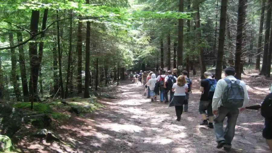 Kolonia i obóz młodzieżowy z wycieczką do Czech - Poczuj Ducha Gór