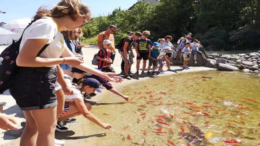 Kolonia i obóz młodzieżowy nad Bałtykiem
