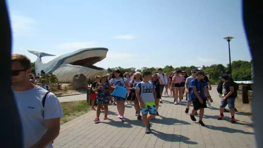 Kolonia i obóz młodzieżowy nad Bałtykiem z rejsem do Szwecji