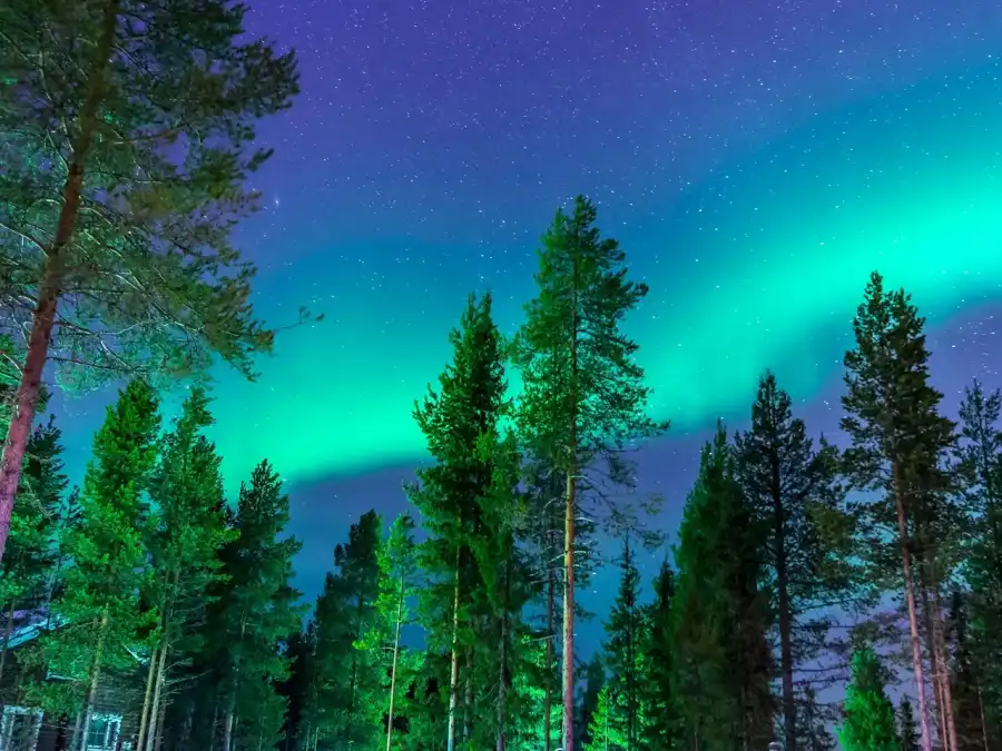 Kuusamo Natura Finlandii - oóbz rekreacyjny ze zwiedzaniem - samolotem z Warszawy