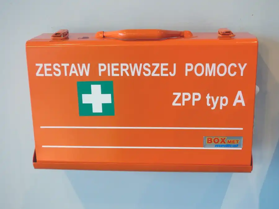 Lesko Kolonia i obóz detektywistyczny Bieszczadzki Tropiciel