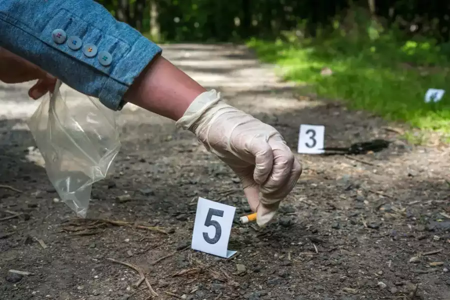 Lesko Kolonia i obóz detektywistyczne bieszczadzki tropiciel