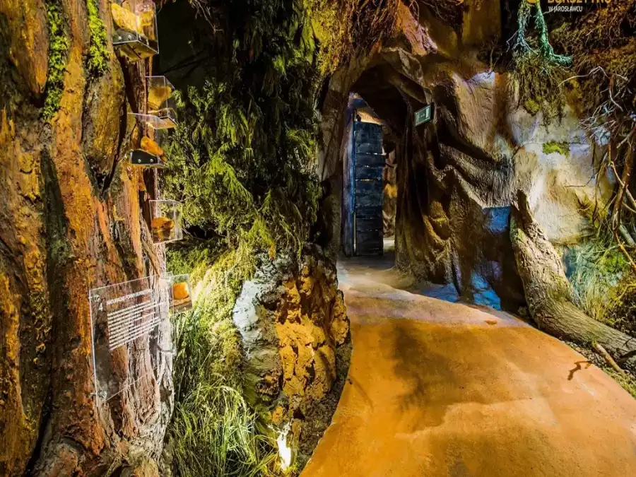 Jarosławiec Manga i Anime, Otaku, Japonia - kolonia i obóz nad morzem