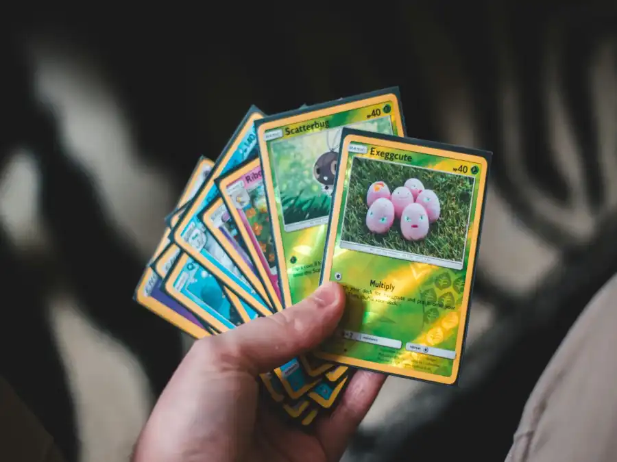 Świnoujście Pokemony - kolonia i obóz nad morzem