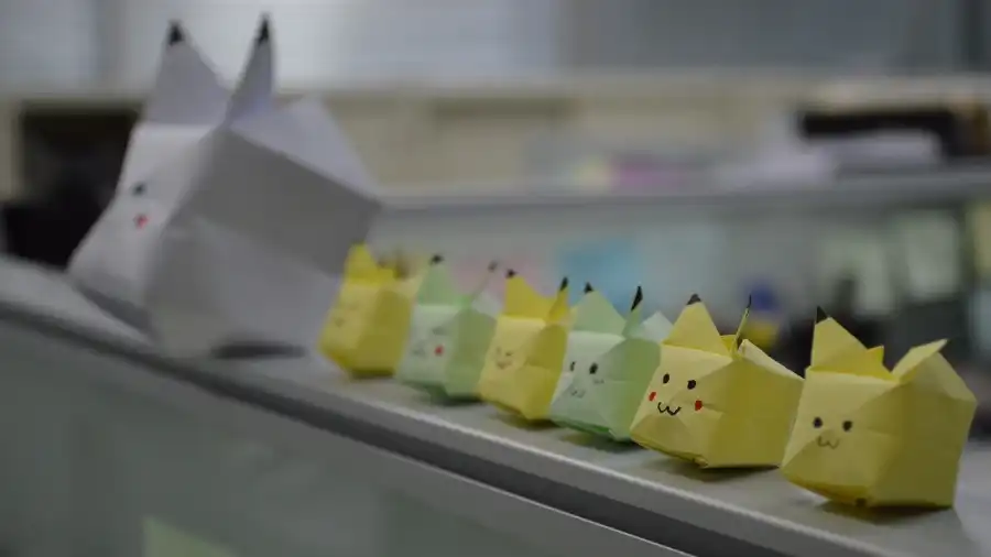 Świnoujście Pokemony - kolonia i obóz nad morzem