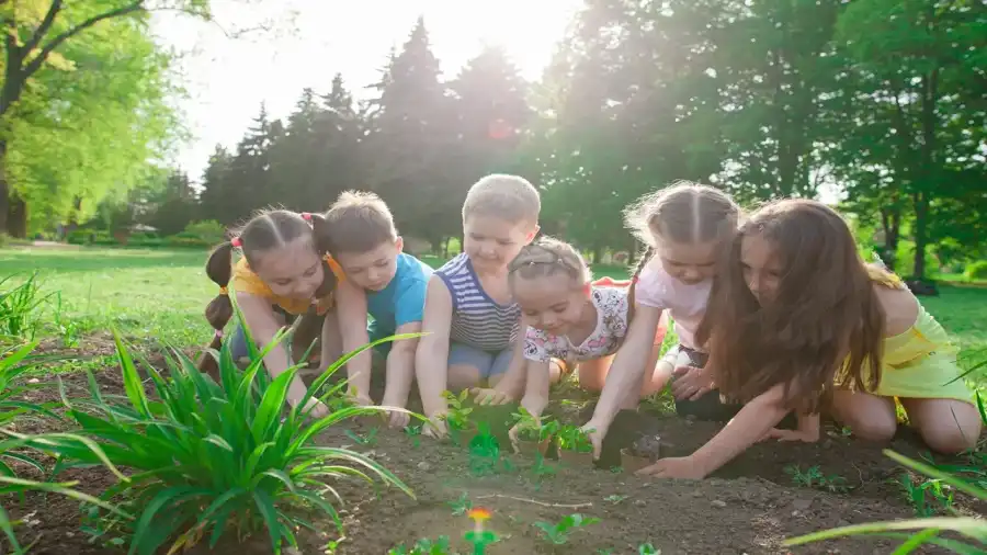 Olsztyn (woj. śląskie) Jura, kolonia,  a może jurajskie morze? - lato 2026