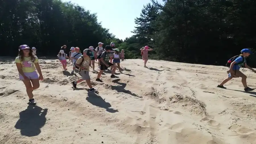 Olsztyn (woj. śląskie) Jura, kolonia,  a może jurajskie morze? - lato 2026