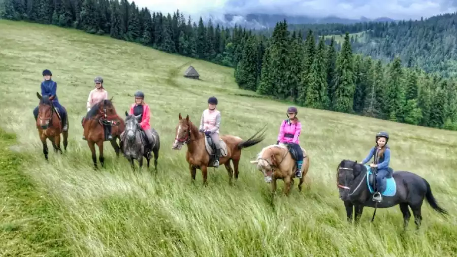 Koloni i obóz jazdy konnej w Tatrach