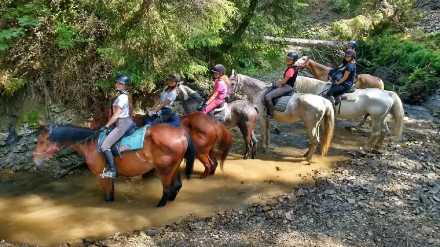 Koloni i obóz jazdy konnej w Tatrach