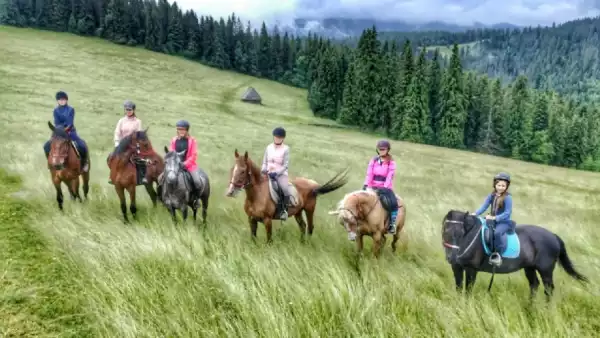 Koloni i obóz jazdy konnej w Tatrach