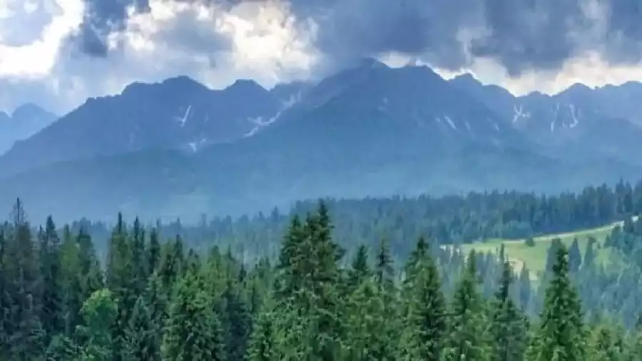 Kolonia i obóz paintballowy w Tatrach