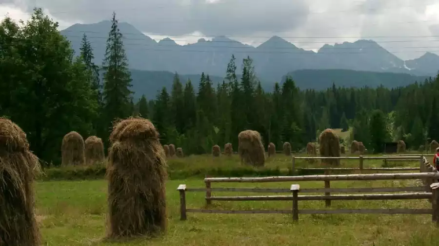 Kolonia i obóz paintballowy w Tatrach