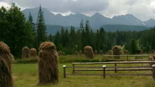 Kolonia i obóz rekreacyjny w Tatrach