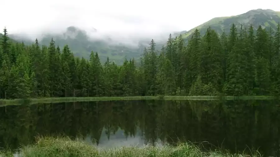 Kolonia i obóz strzelecki w Tatrach