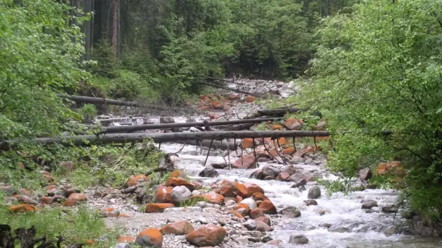 Kolonia i obóz Tatrzańskie Aquaparki