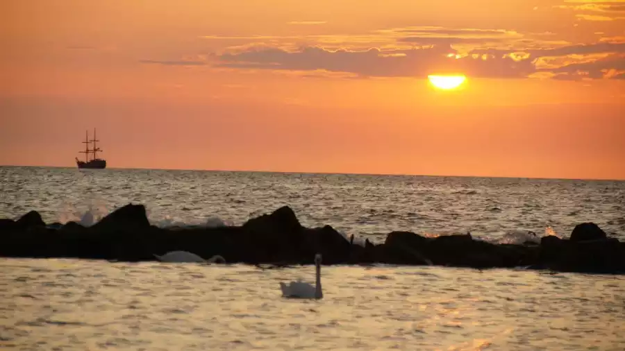Kolonia i obóz języka angielskiego nad morzem