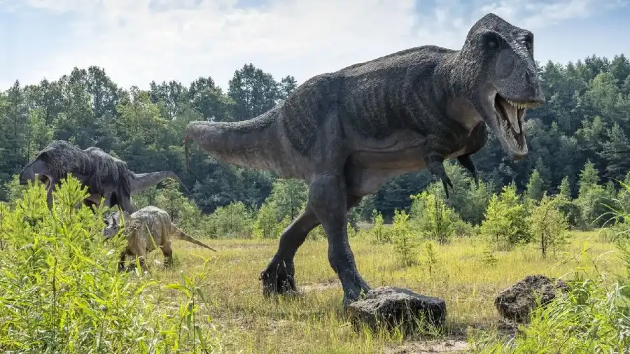 Krasiejów Klub Urwisa DinoCamp - letnia kolonia dla dzieci