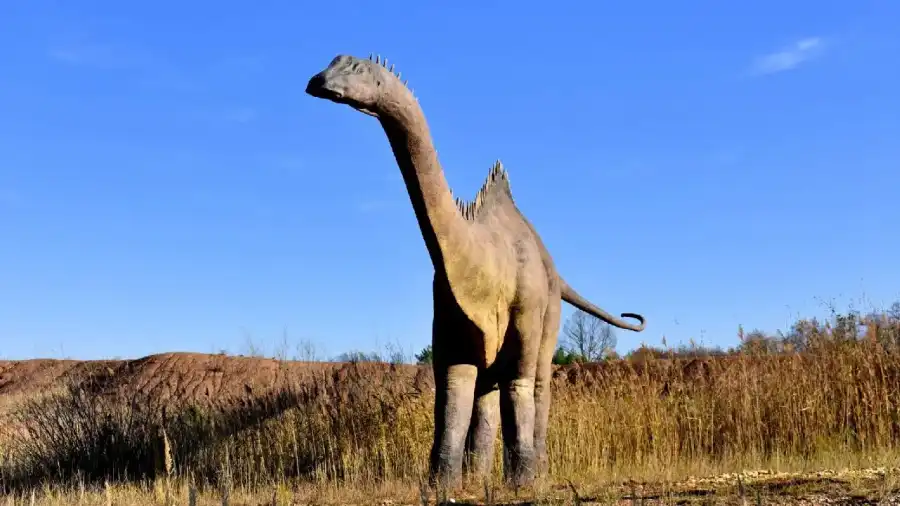 Krasiejów Klub Urwisa DinoCamp - letnia kolonia dla dzieci
