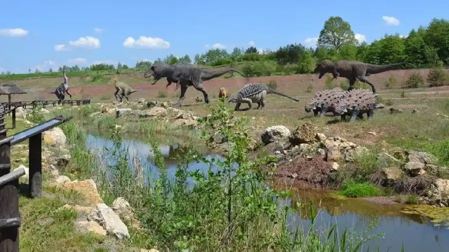 Krasiejów Klub Urwisa DinoCamp - letnia kolonia dla dzieci