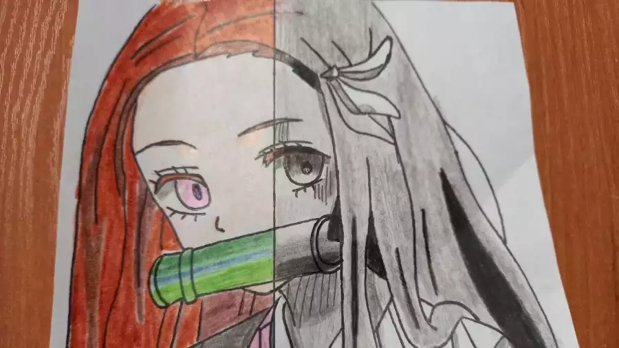 Kolonia i obóz manga i anime