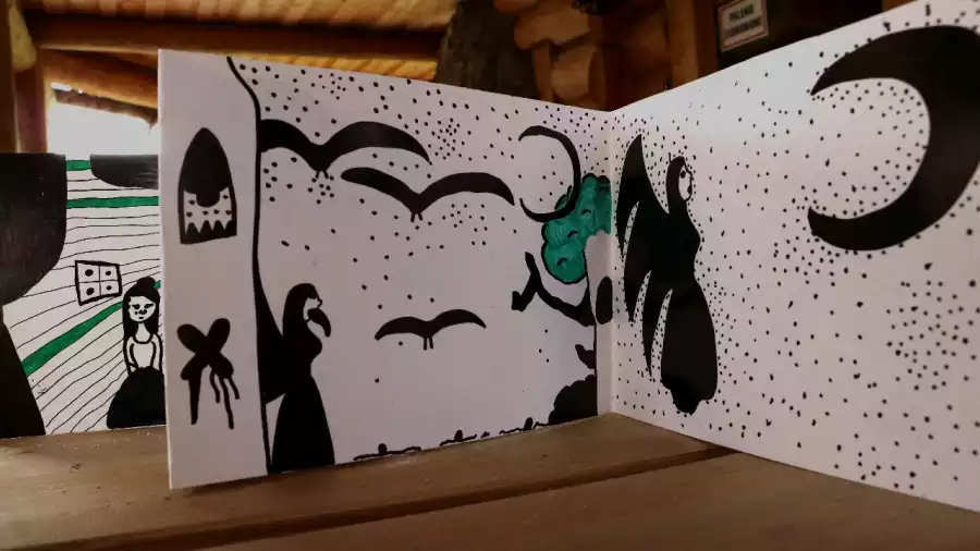 Kolonia i obóz plastyczne