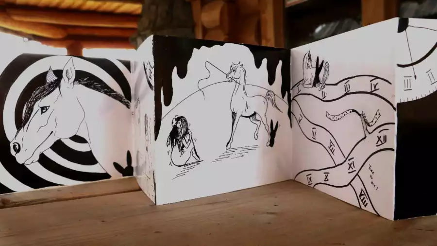 Kolonia i obóz plastyczne