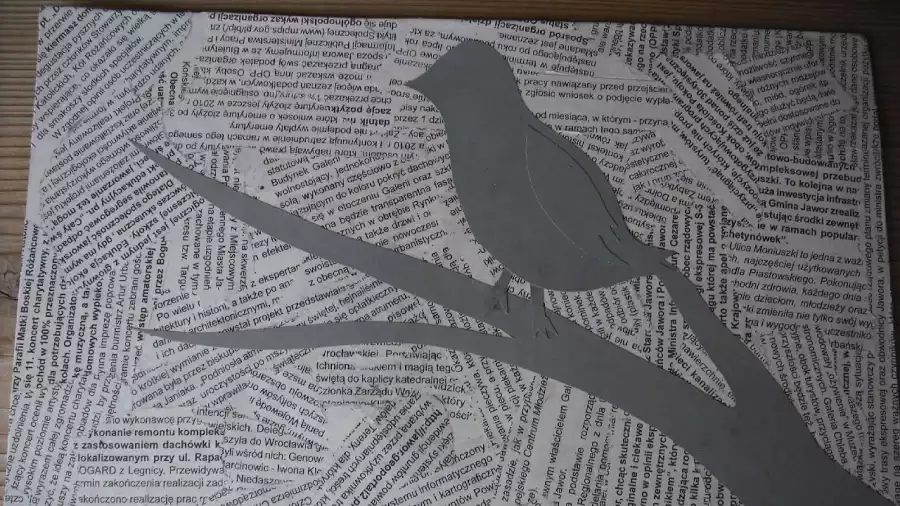 Kolonia i obóz plastyczne