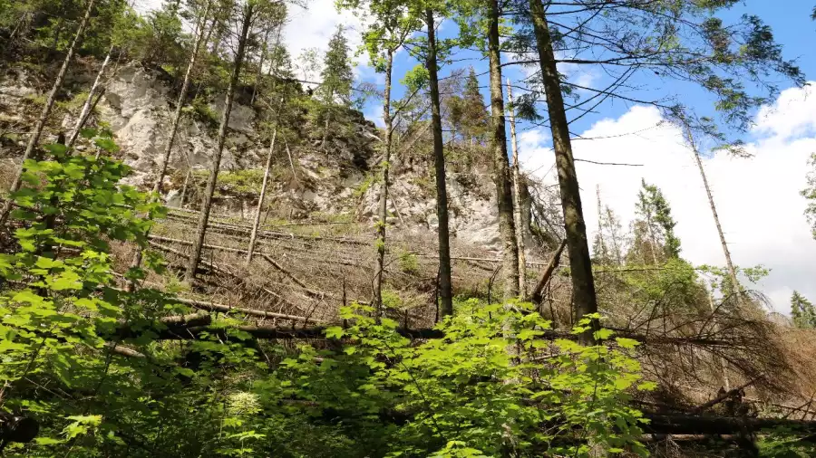 Kolonia i obóz Tatrzańskie Aquaparki