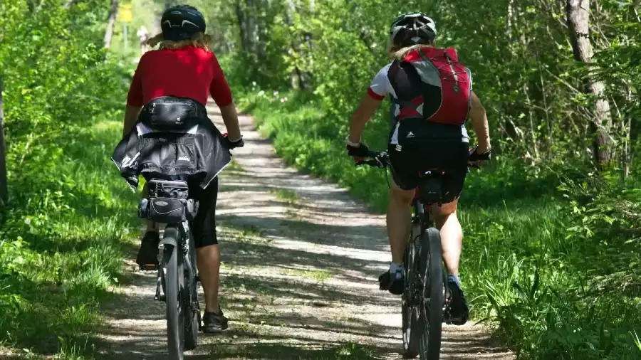 rowerzyści na wyprawie w lesie