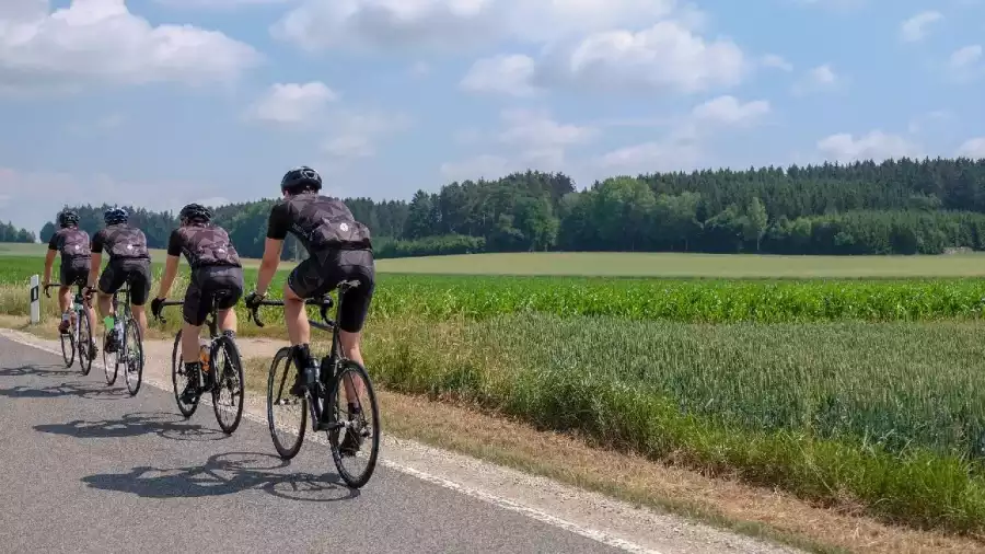 rowerzyści na wyprawie wzdłuż pól