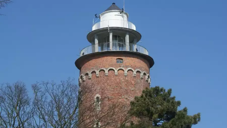 latania morska w Niechorzu