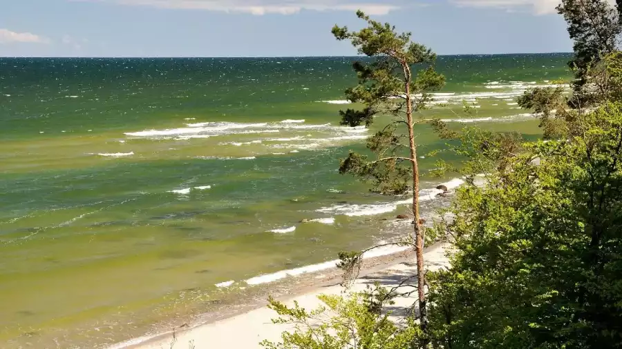 klif nad Bałtykiem