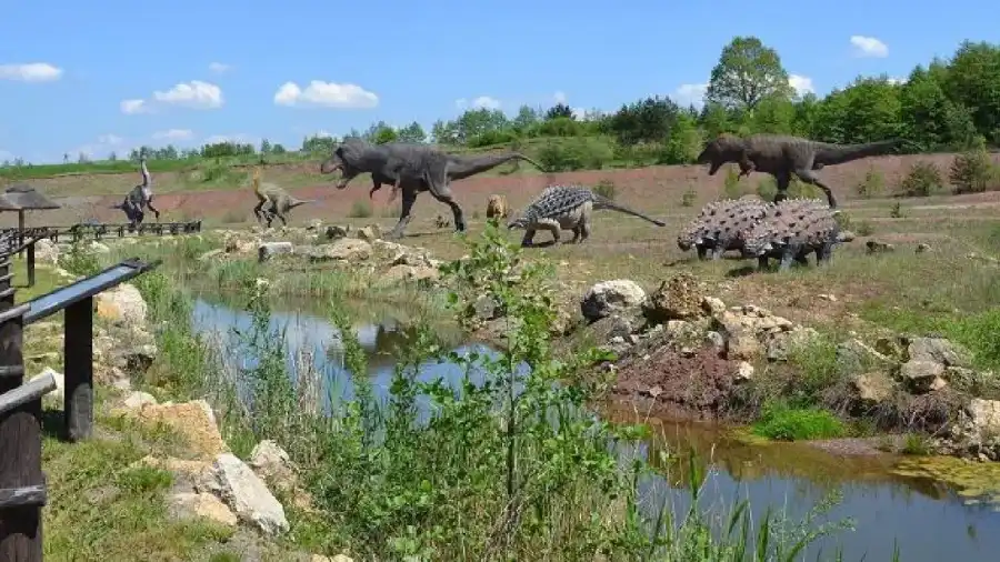 Krasiejów Kolonia robotyki z wykorzystaniem klocków LEGO*