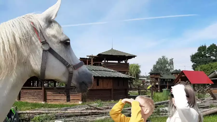 uczestnicy kolonii letniej z koniem