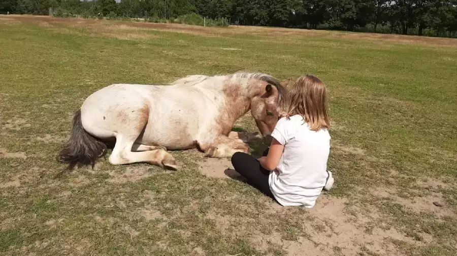 uczestnicy kolonii letniej z koniem