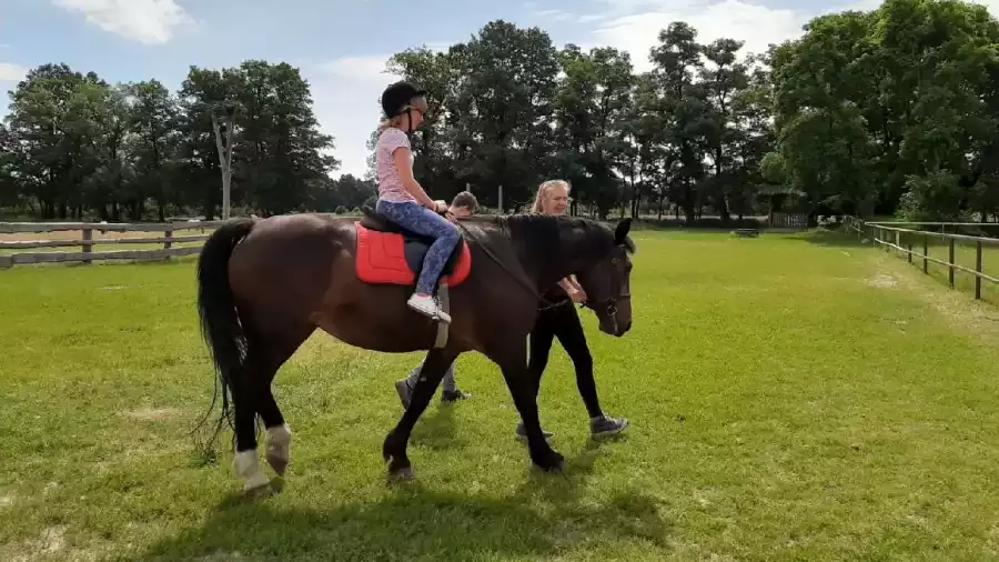 przejażdżka konna na kolonii letniej