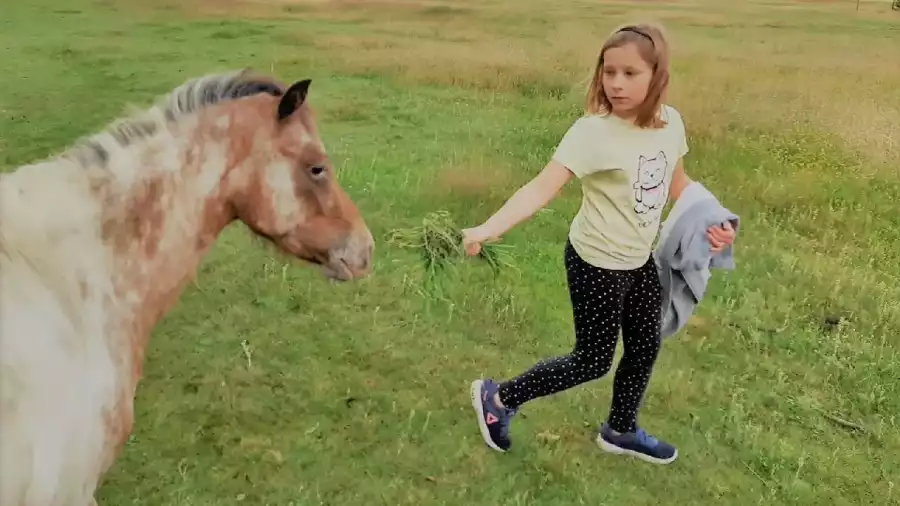 uczestnicy kolonii letniej z koniem