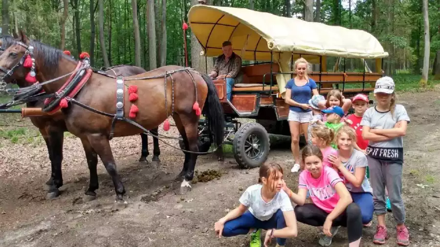 przejażdżka dyliżansem na kolonii letniej