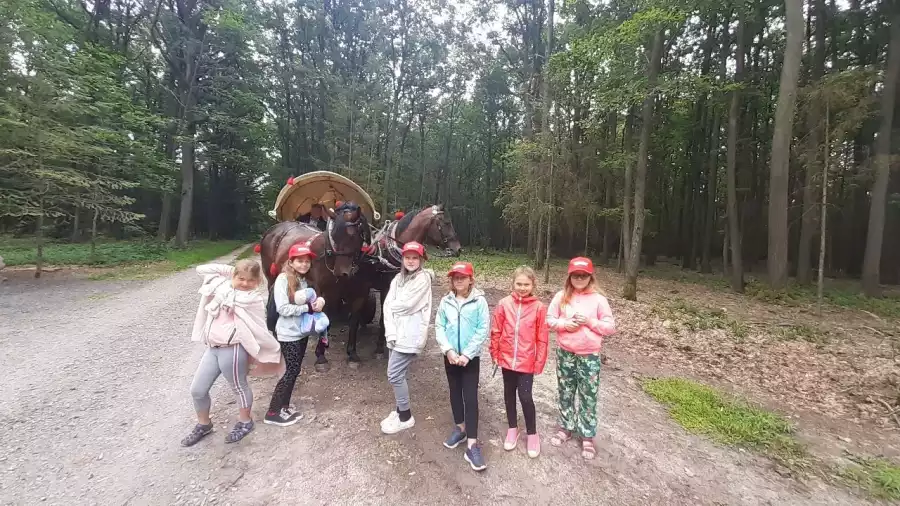 przejażdżka dyliżansem w lesie