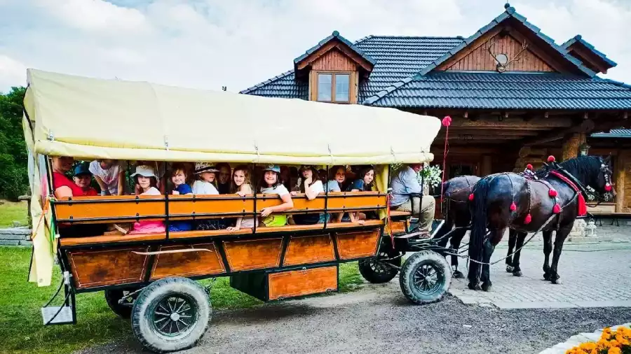 przejażdżka dyliżansem na koloniach