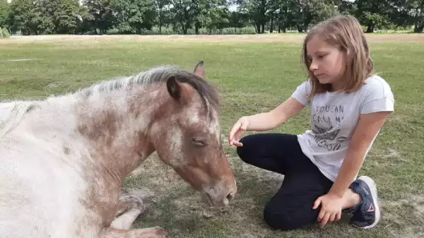 Letnia kolonia ABC jazdy konnej