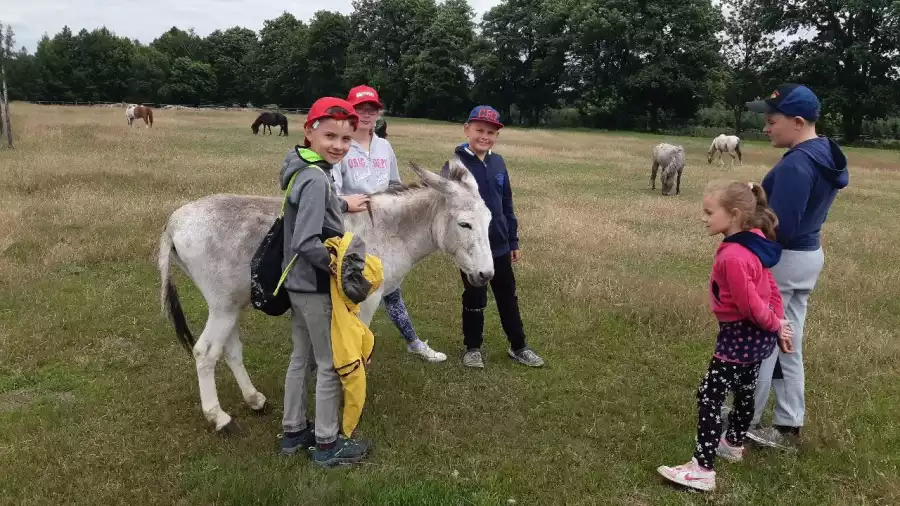 uczestnicy kolonii letniej z osłem