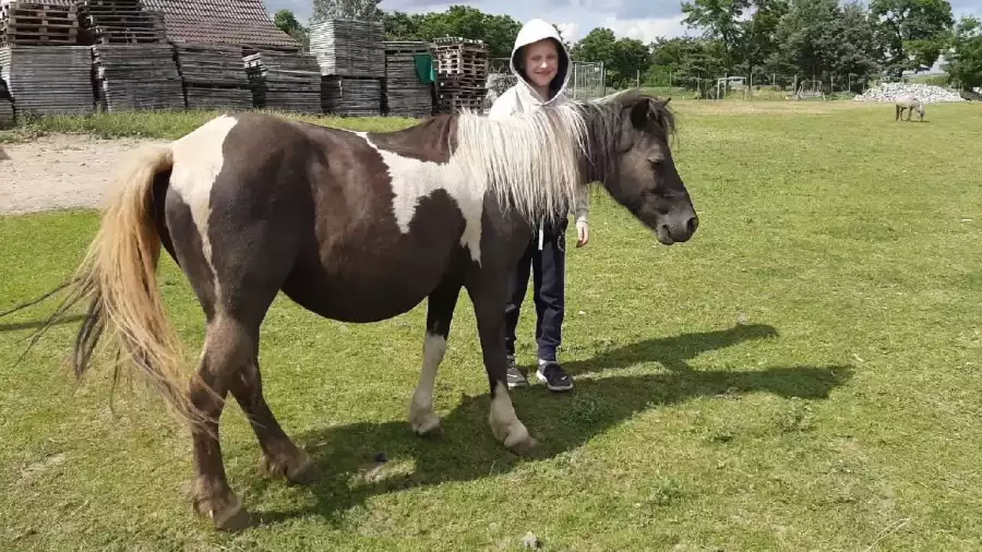 Przysiecz Letnia kolonia plastyczna