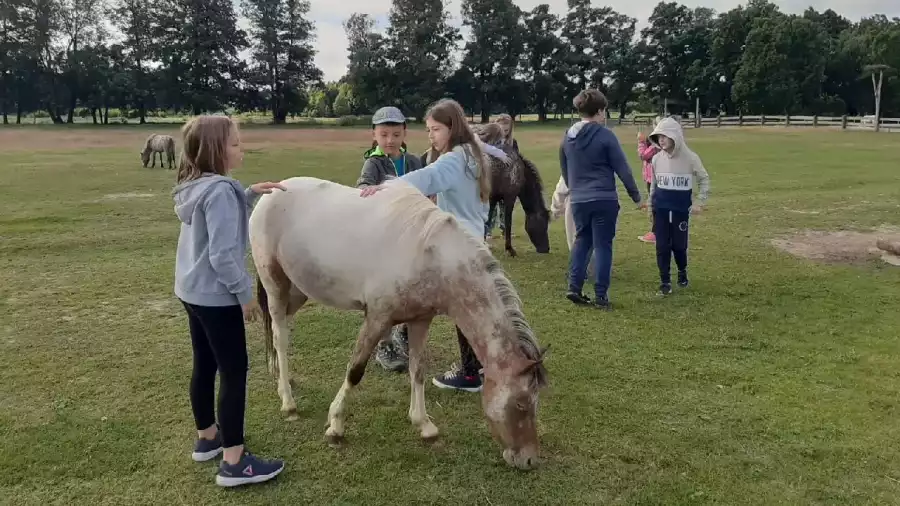 uczestnicy kolonii letniej z koniem