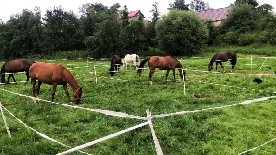 Opolszczyna Młodzieżowy rajd konny na Opolszczyźnie